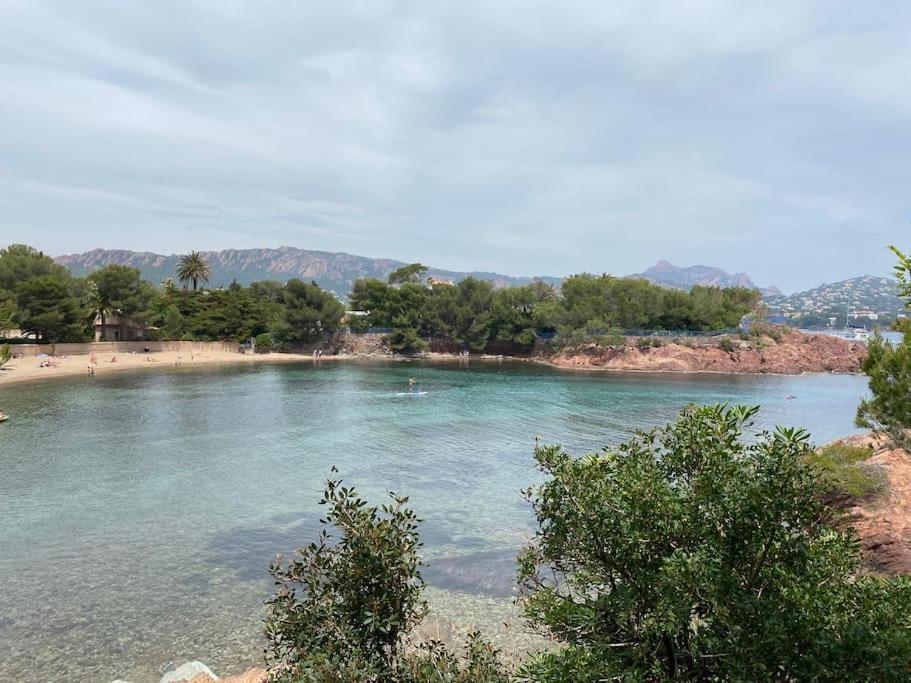 St Raphael 37M2, Piscine, Wifi, Commerces Mer 5Mn A Pieds Saint-Raphael  Exterior photo
